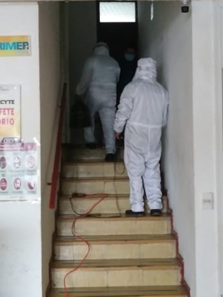 Colabora STEMS en medidas para erradicar COVID-19 - Imagen 2