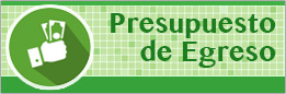 Presupuesto de egreso